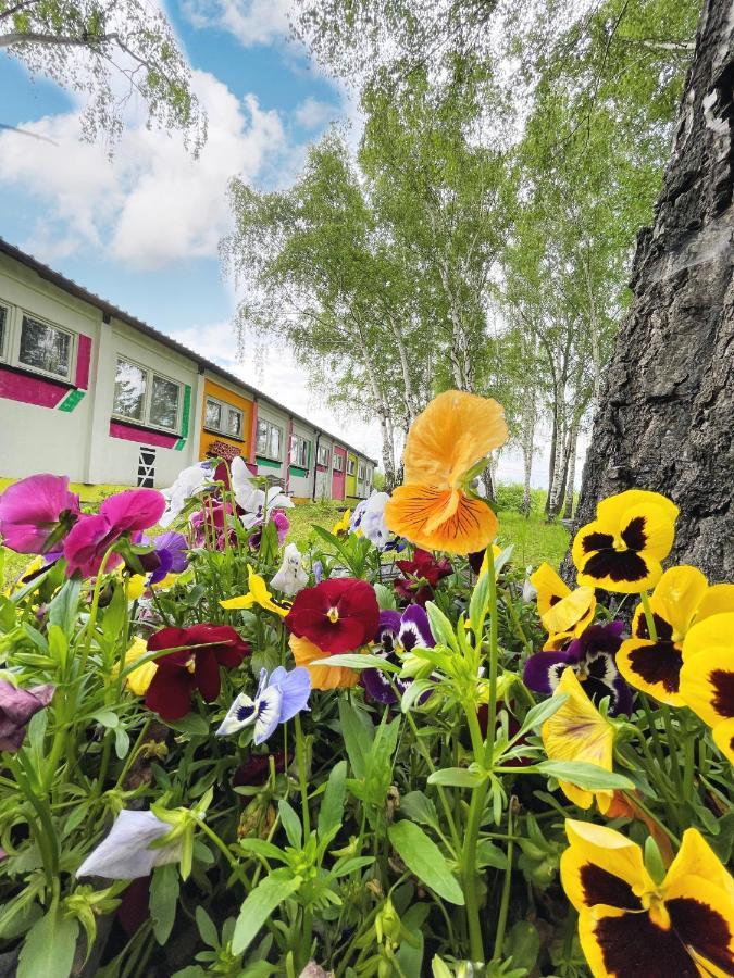 Koza I Brzoza, Domki Z Kontenerow Piechowice  Exterior foto